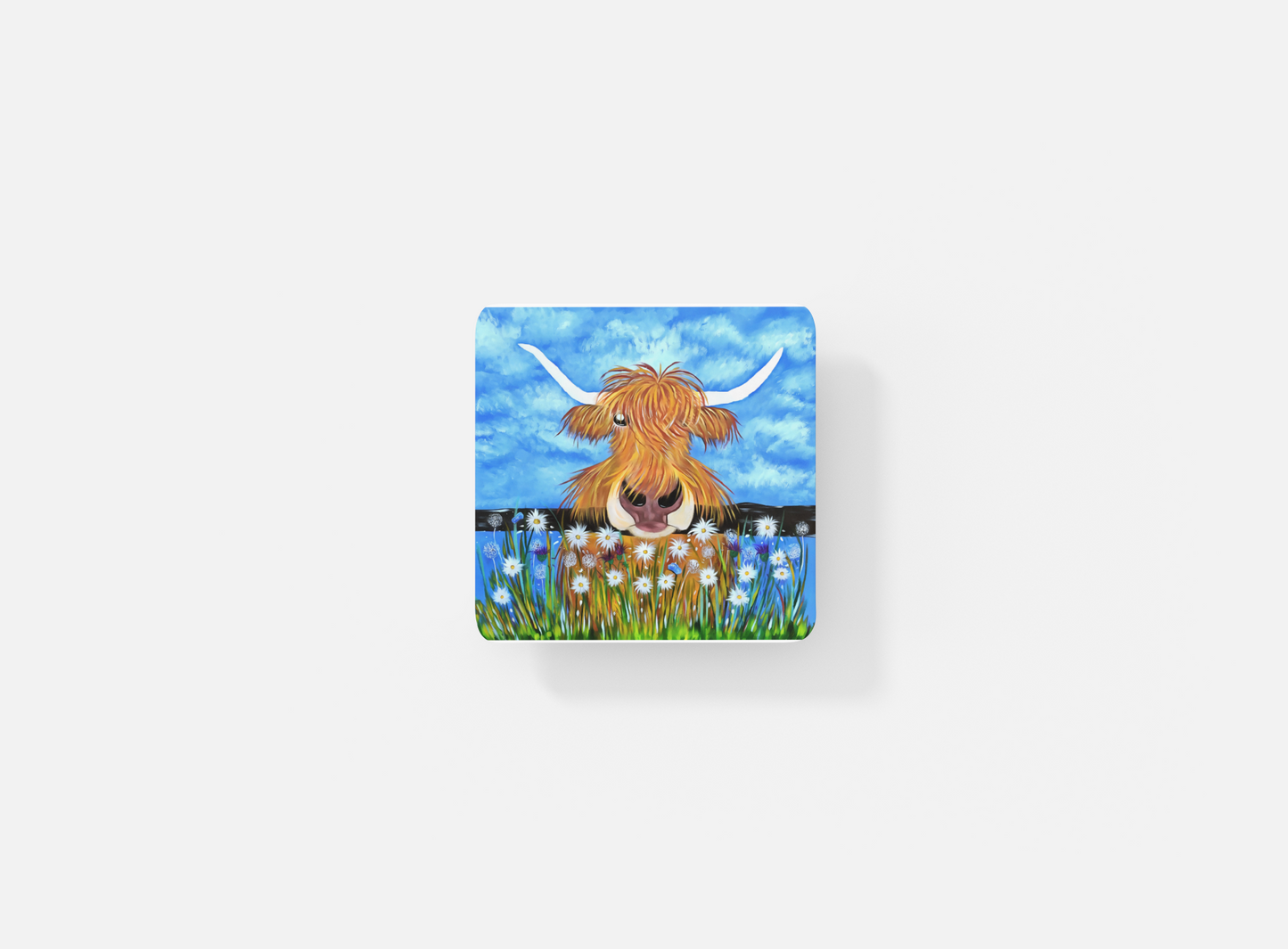 William the highland coaster image 0