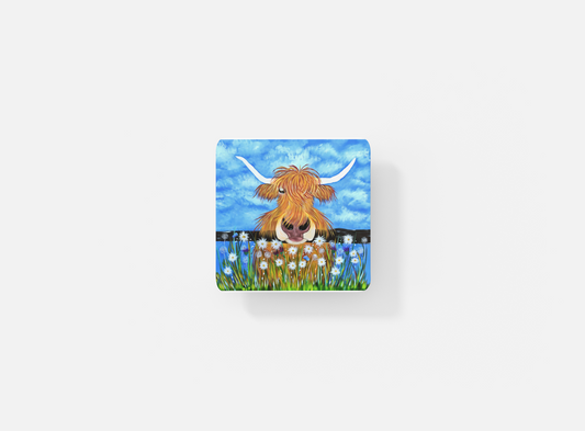 William the highland coaster image 0